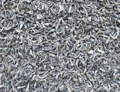 Africa chunmee herbal tea 9371 The vert De chine green tea