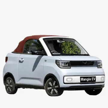 2023 Low Price Sales of New Energy Car Double Door and Double Seat Chinese Electric Car Wuling Mini-EV Convertible Electric Car