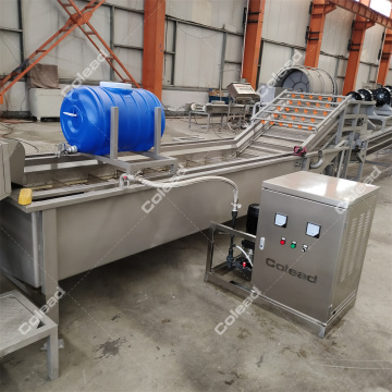 Commercial Bubble Washing Machine for food processing line