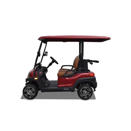 2-seater golf patrol car