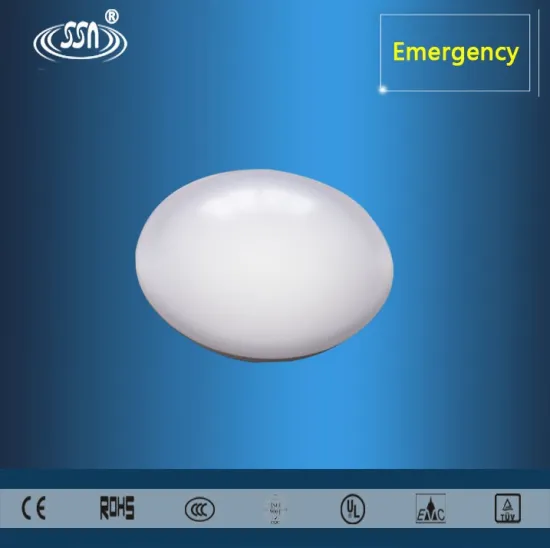 Intelligent emergency ceiling lamp led light
