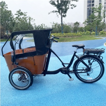 Outdoors: Discover the Latest Green Power Electric Bike with Swing Balance Wheel Suspension and Cargo Trike Stability