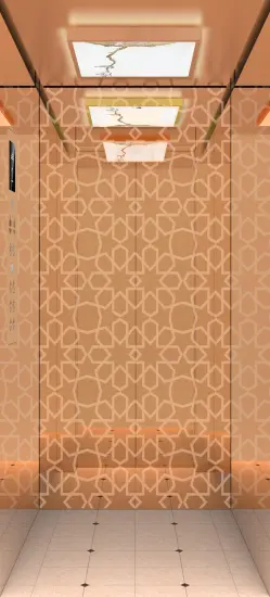 IFE villa elevator small home lift