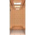 Beautiful Low Price Small Shaft Villa Elevator