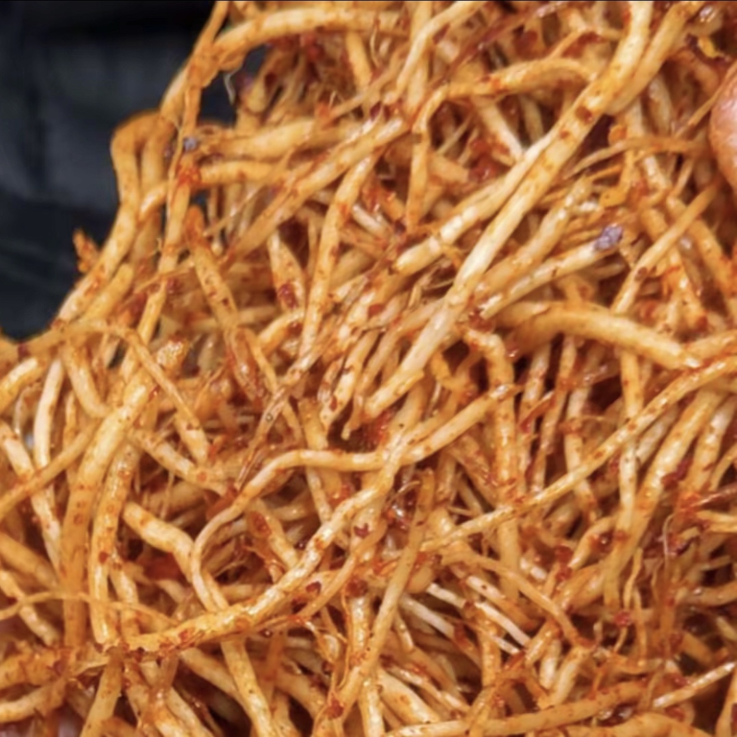 allium hookeri root