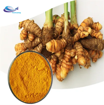 AMULYN Supply marigold extract lutein marigold extract