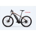 Electric Bike Mountain Bike LiXa