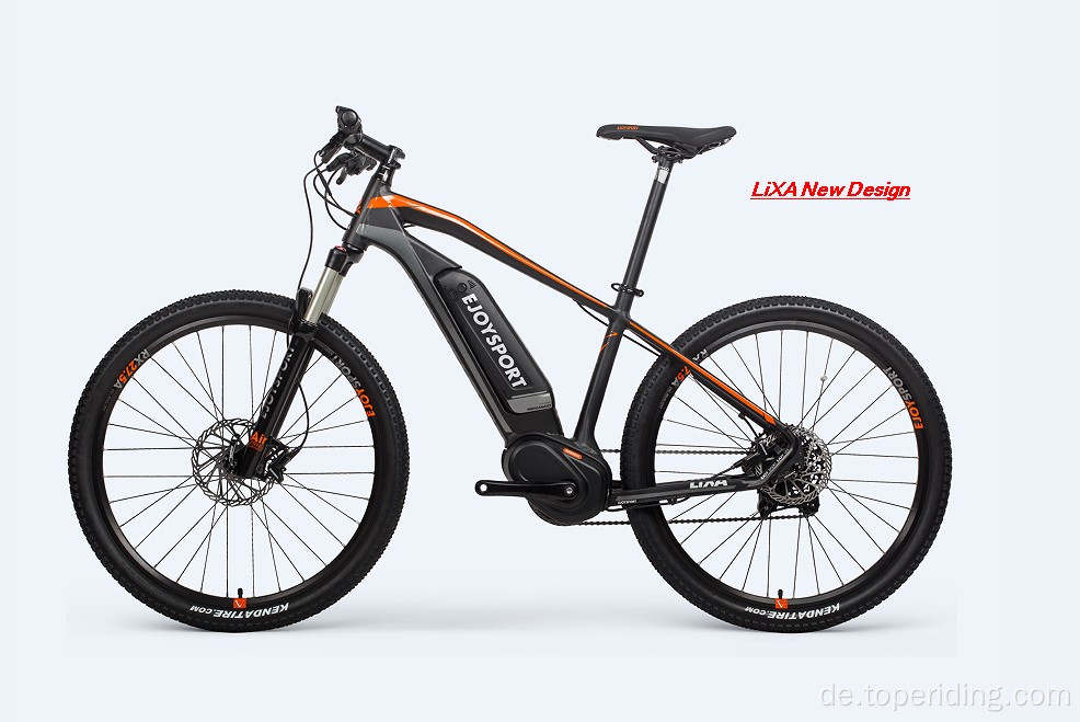 Mid Motor Electric Pedal Bike