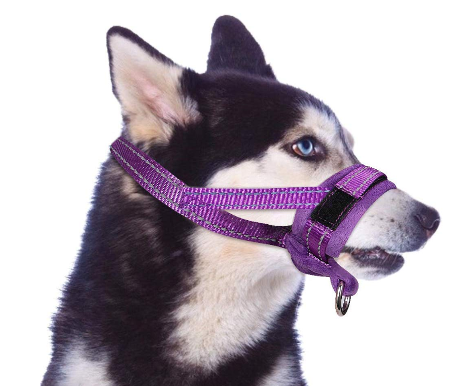 Dog muzzles for Medium Large Dog