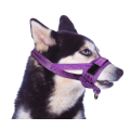 Chien Muzzles pour chien de taille moyenne