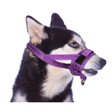 Dog muzzles for Medium Large Dog