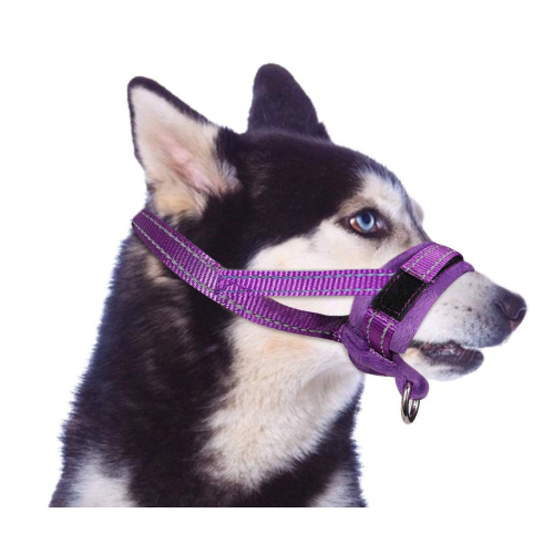 Muzzles anjing untuk anjing besar sederhana