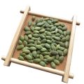 Hot Sale Pumpkin Seeds Kernels Factory Supply