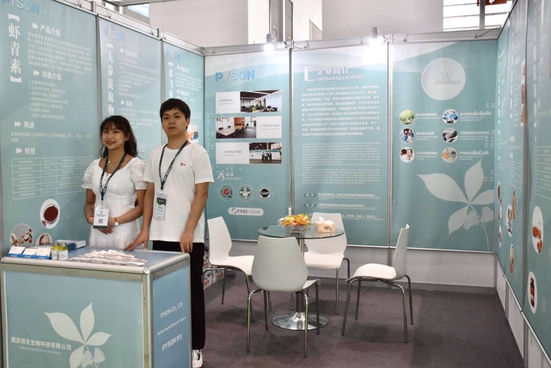 WPE stand