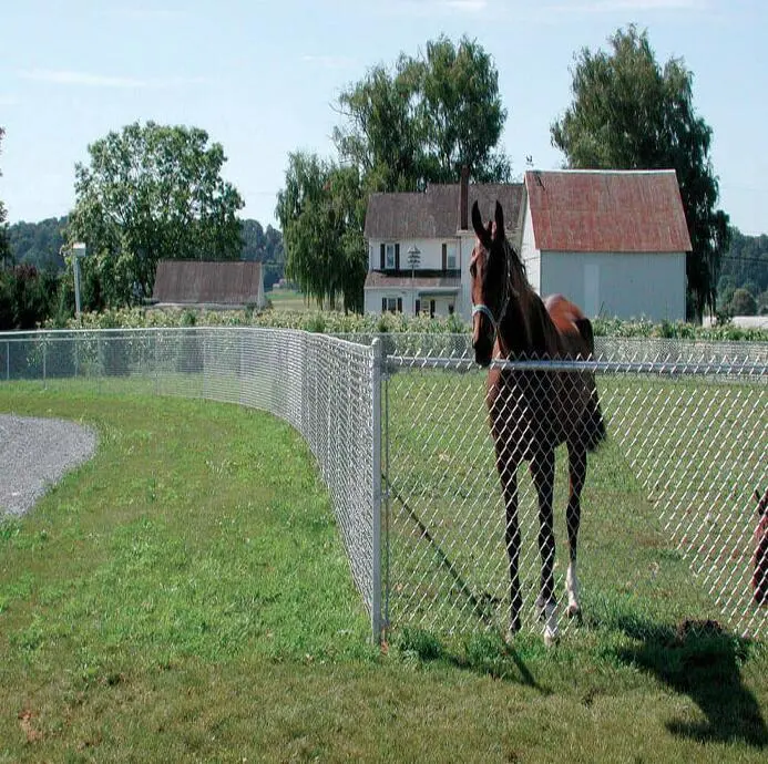 Heiße verzinkte Kettenketten -Rink -Garten -Sicherheitsdrahtgitter -Eisen -Metallfarmzaun für Garten