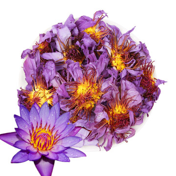 High Quality Natural Pure Dried Blue Lotus Flower for Tea