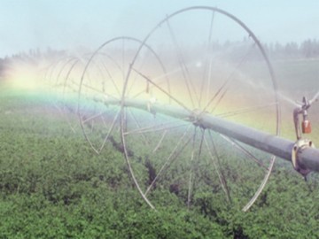Roll-Shifting Sprinkler System for Large Fields