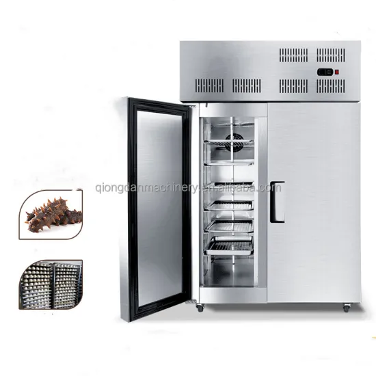 Small Tunnel IQF Freezer Manufacturers for Frozen Fruits and Vegetables