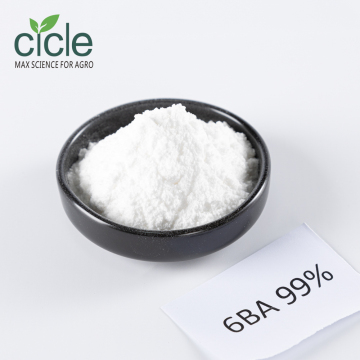 Advanced Cytokinin Product 6-Benzylaminopurine
