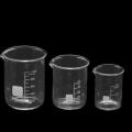 Low Form Boro3.3 Glass Beaker with Spout 600ml