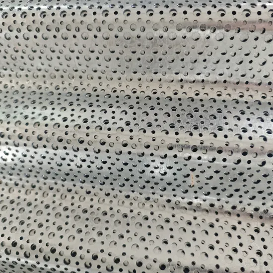 2mm Decorative Holes Carbon Steel Corrugated Perforated Metal Panels for Building Architecture and Design