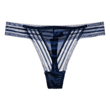 Transparent Temptation Mesh Satin T-back Thong Panties