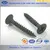 Philips no.2 coarse thread Black phosphate drywall screws