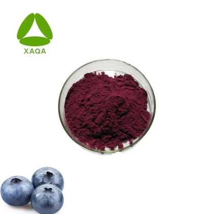 Organic Wild Blueberry Fruit Juice Extract Powder