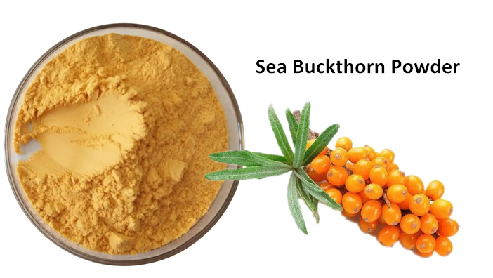 Sea Buckthorn Powder