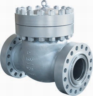 ASI swing check valve power station valve