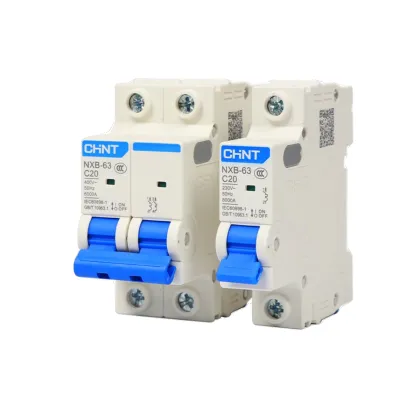 Chint NXB-63 D Type Power Mini Circuit Breaker 10A-63A DZ47 Air Switch