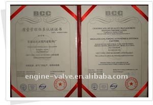 automobile engine valves for OPEL Corsa CEIO