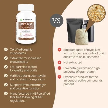 Organic Lion`s Mane Mushroom Capsules