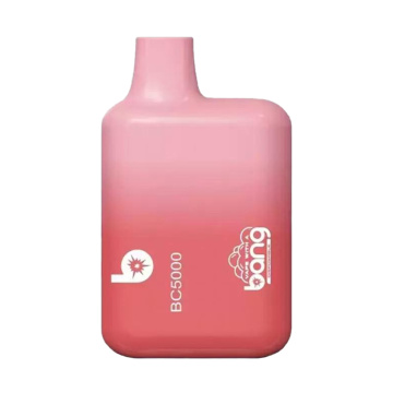 Wholesale High Quality Price Bang 5000 Puffs
