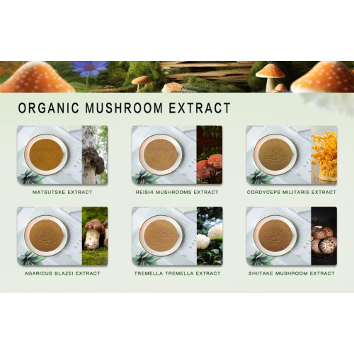 Висококвалитетни екстракт гљива прах за здравствене састојке