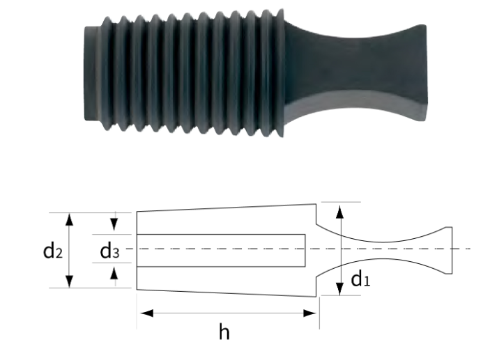  (1)