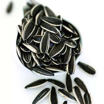 Raw sunflower seeds 601