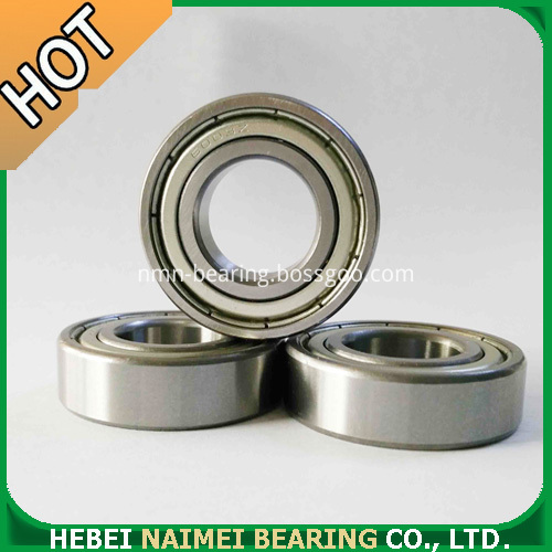 bearings 6004