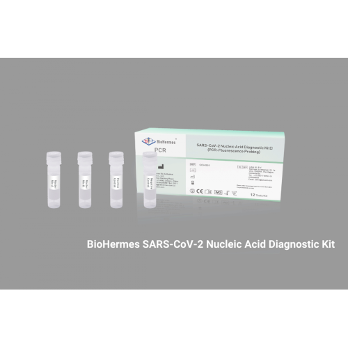 Sars-CoV-2 Test Kit (Real-Time PCR)