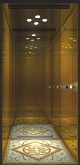 IFE Luxury villa elevator passenger lift IFE custom