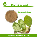 Polvo de extracto de Cactus Caralluma Fimbriata Pérdida de peso 10: 1