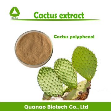 Cactus Caralluma Fimbriata Extract Powder 10:1 Weight Loss