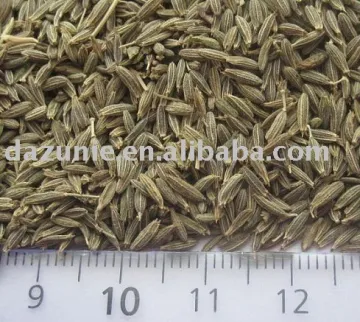 Chinese Cumin Seed