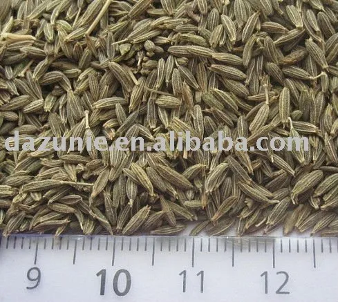 Chinese Cumin Seed