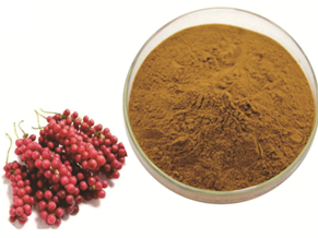what is schisandra chinensis