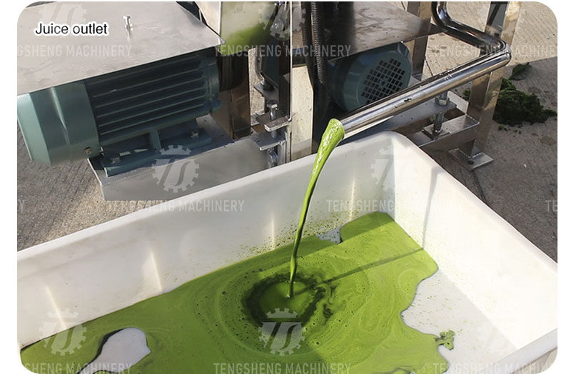 commercial masticating juicer