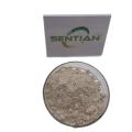 Bacillus coagulans Additive probiotics Bacillus Coagulans