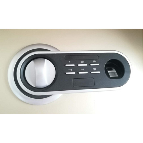 Fingerprint combination button display panel lock