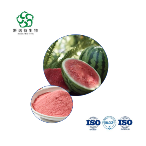 Natural Watermelon Juice Powder for Flavor & Color in Food