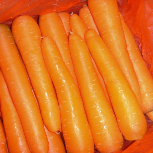 2014 New Crop Fresh Carrot